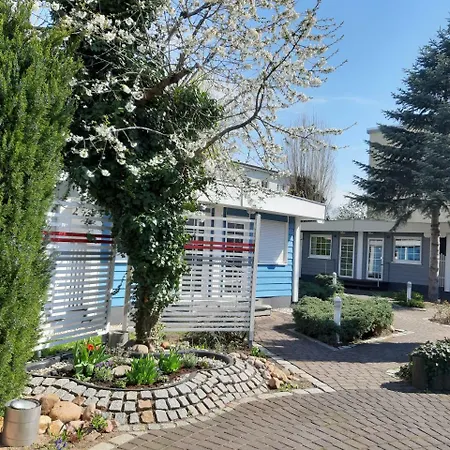 Отель Domizil 3*
