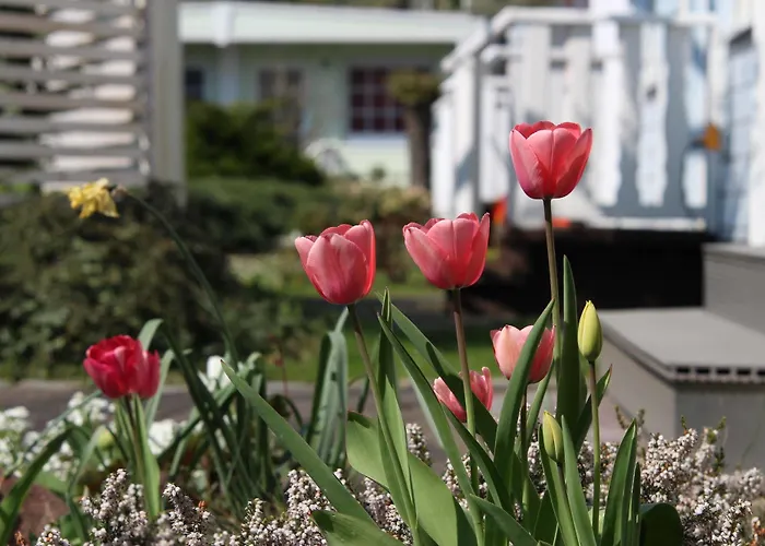 Hotel Domizil Drážďany